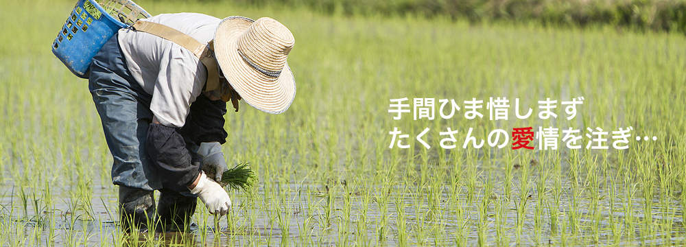 手間ひま惜しまずたくさんの愛情を注ぎ…