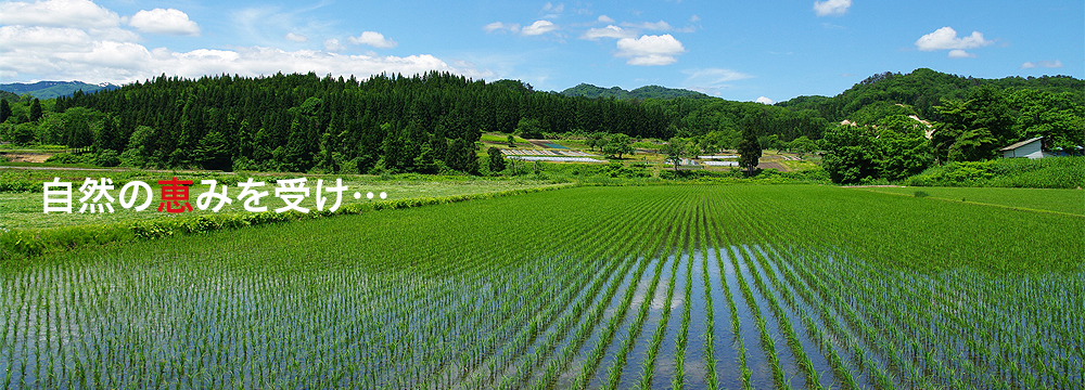 自然の恵みを受け…