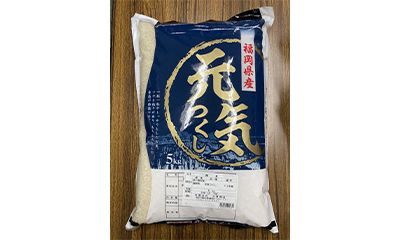 福岡県産 元気つくし画像